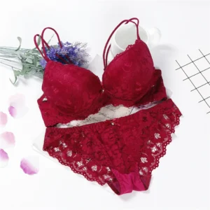 WU530 Transparente Panties And Bra Set