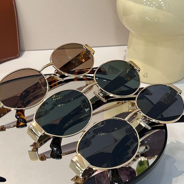 WSG616 Oval Frame Sunglasses - Image 13