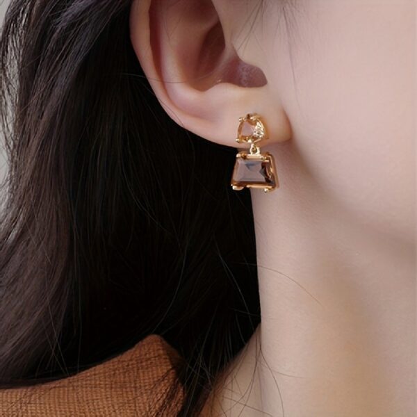 JW974 Brown Crystal Earrings - Image 6