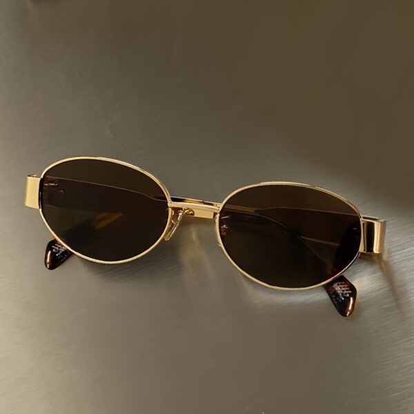 WSG616 Oval Frame Sunglasses - Image 11